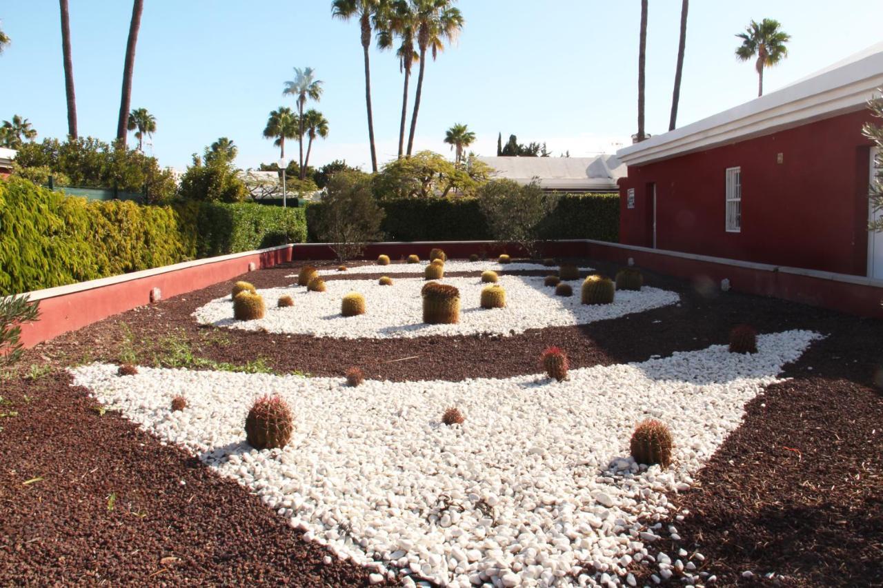 Albaricoques Vivac Bungalow San Bartolomé المظهر الخارجي الصورة
